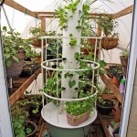 aeroponics growing