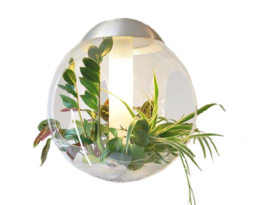 indoor plant light for aeroponics